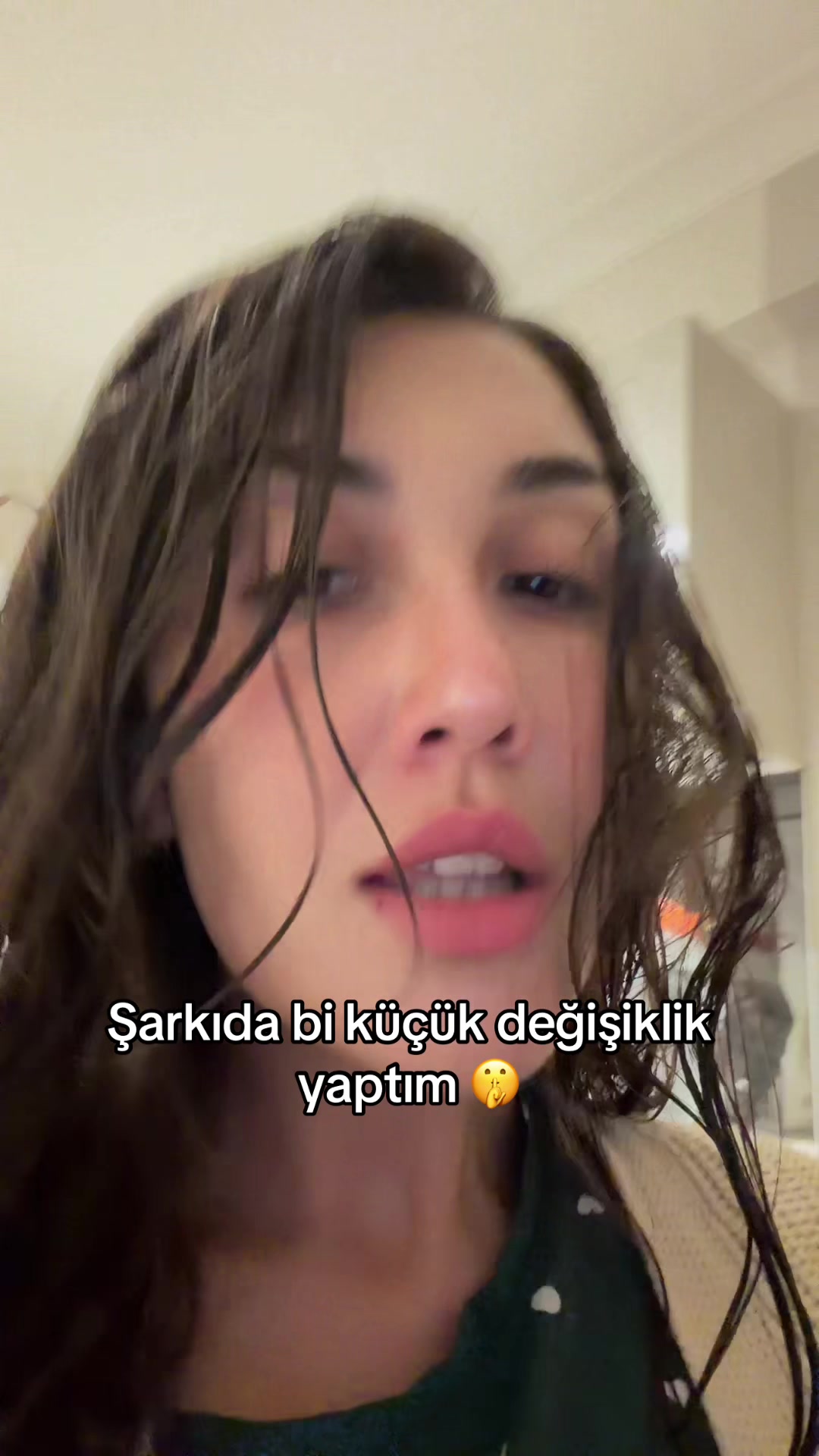 @&Ouml;zge Can