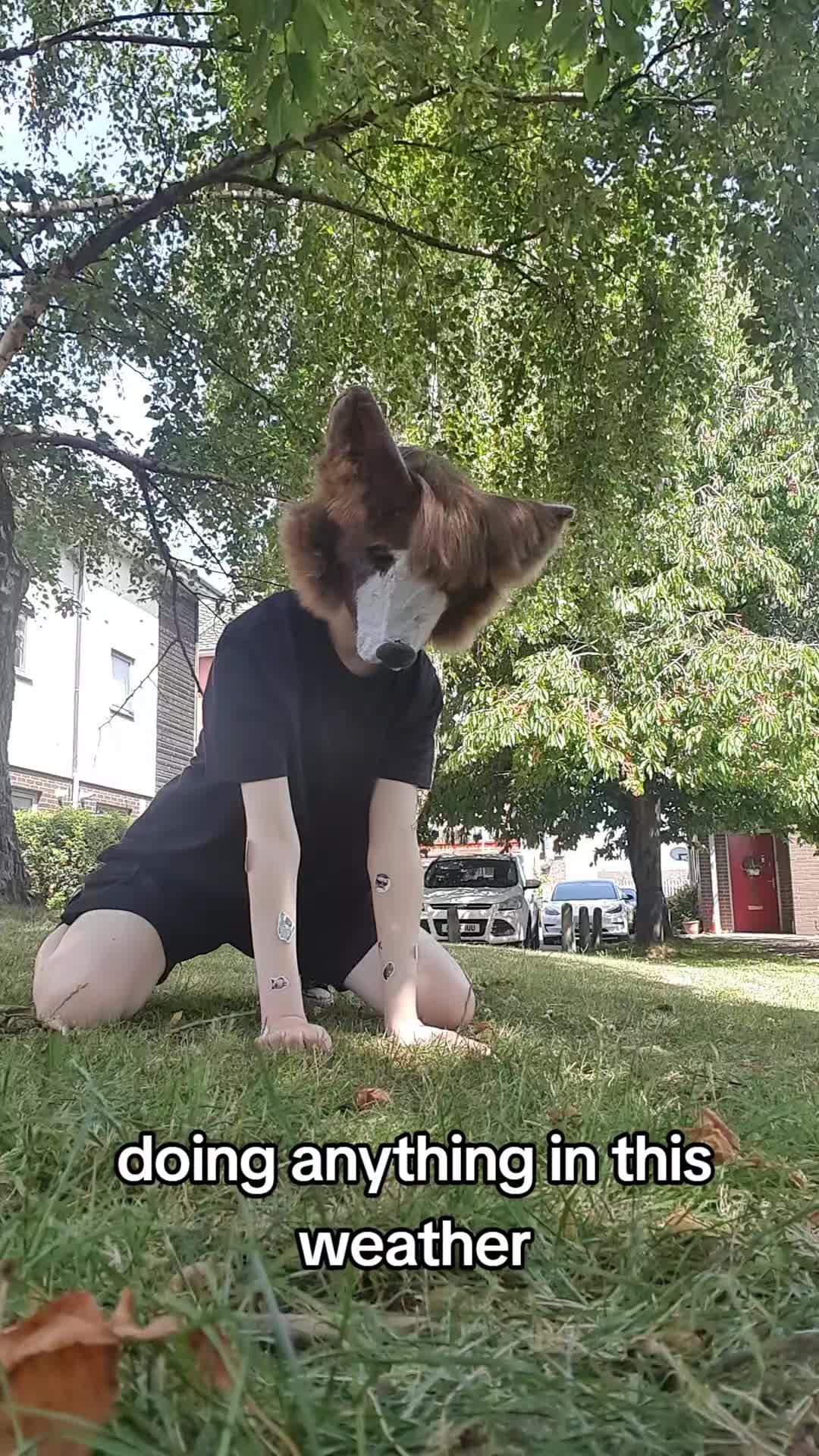 @🎸⭐☆𝐏&upsilon;&rho;&rho;у-ᖴᗩᑎG☆🦴🐾