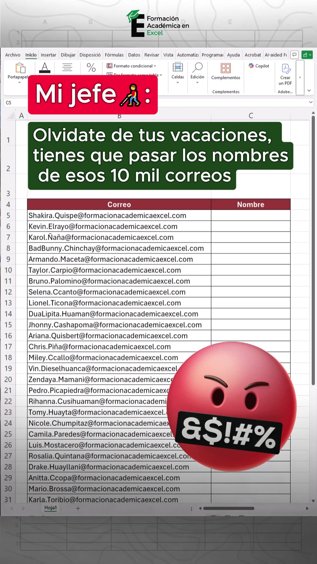 @FAE Formaci&oacute;n Acad&eacute;mica Excel