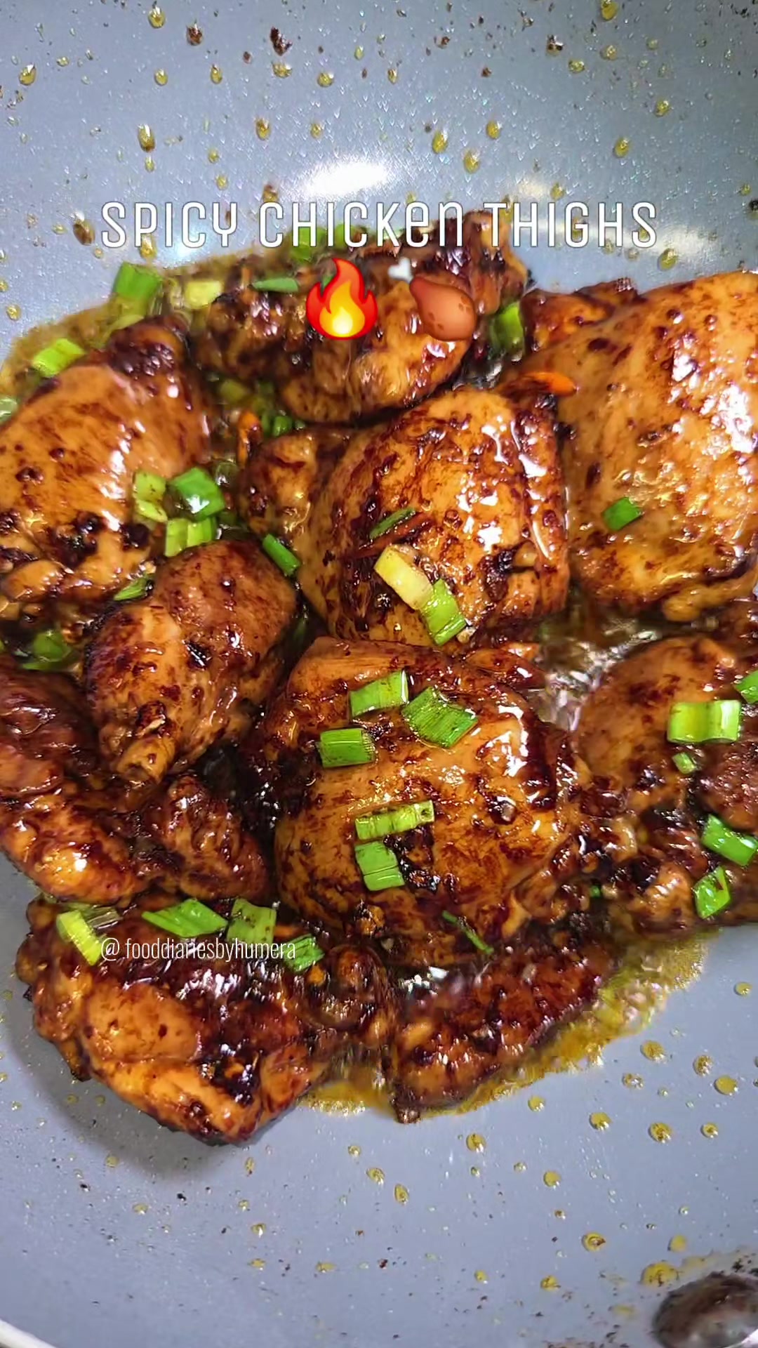 @fooddiariesbyhumera