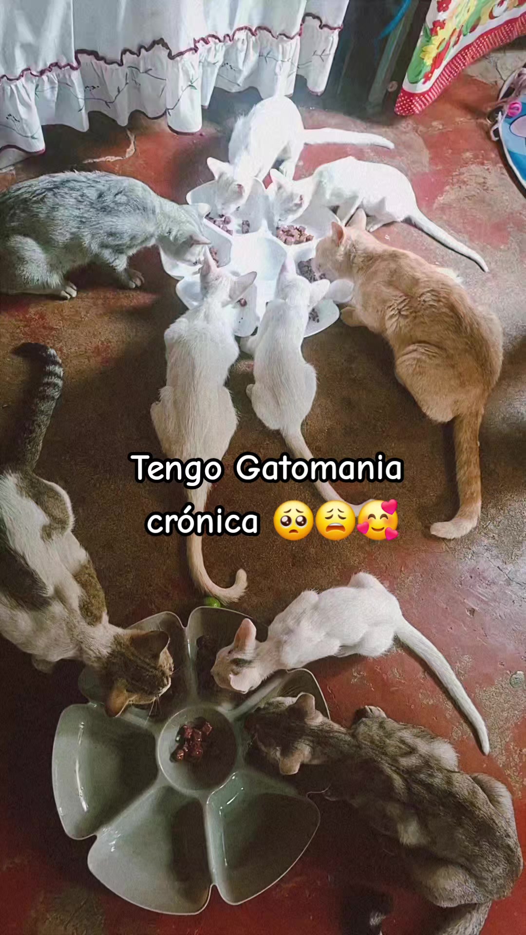 @TETONA :)