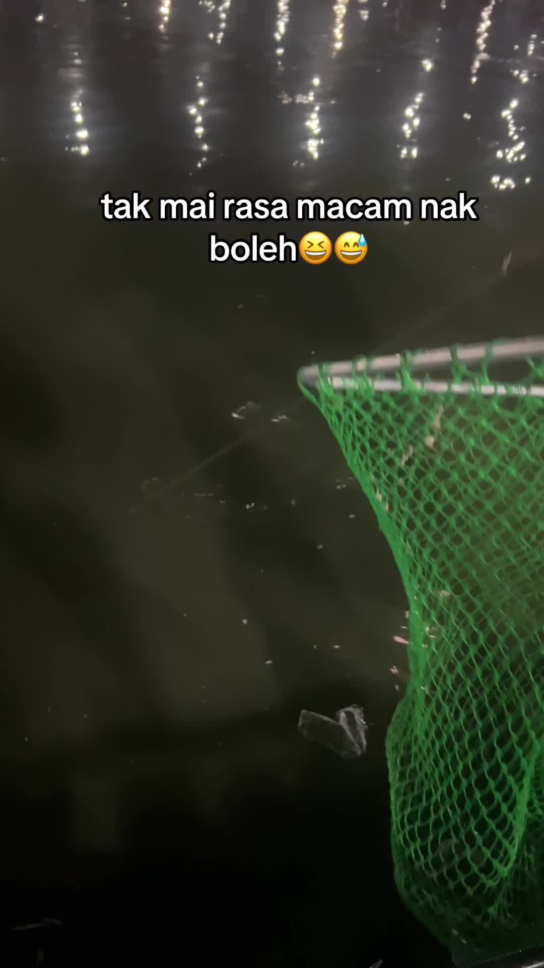 @Jan_absober