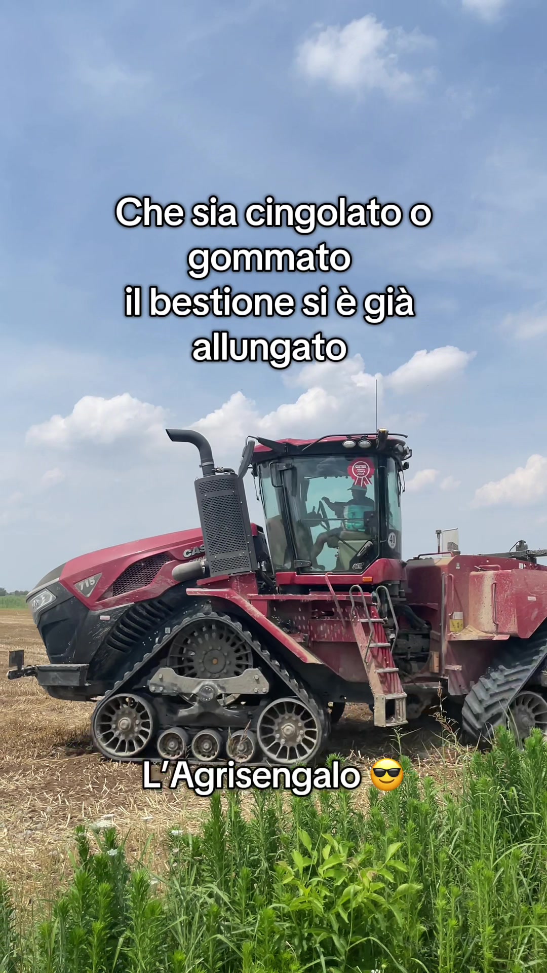 @Agrisengalo😎
