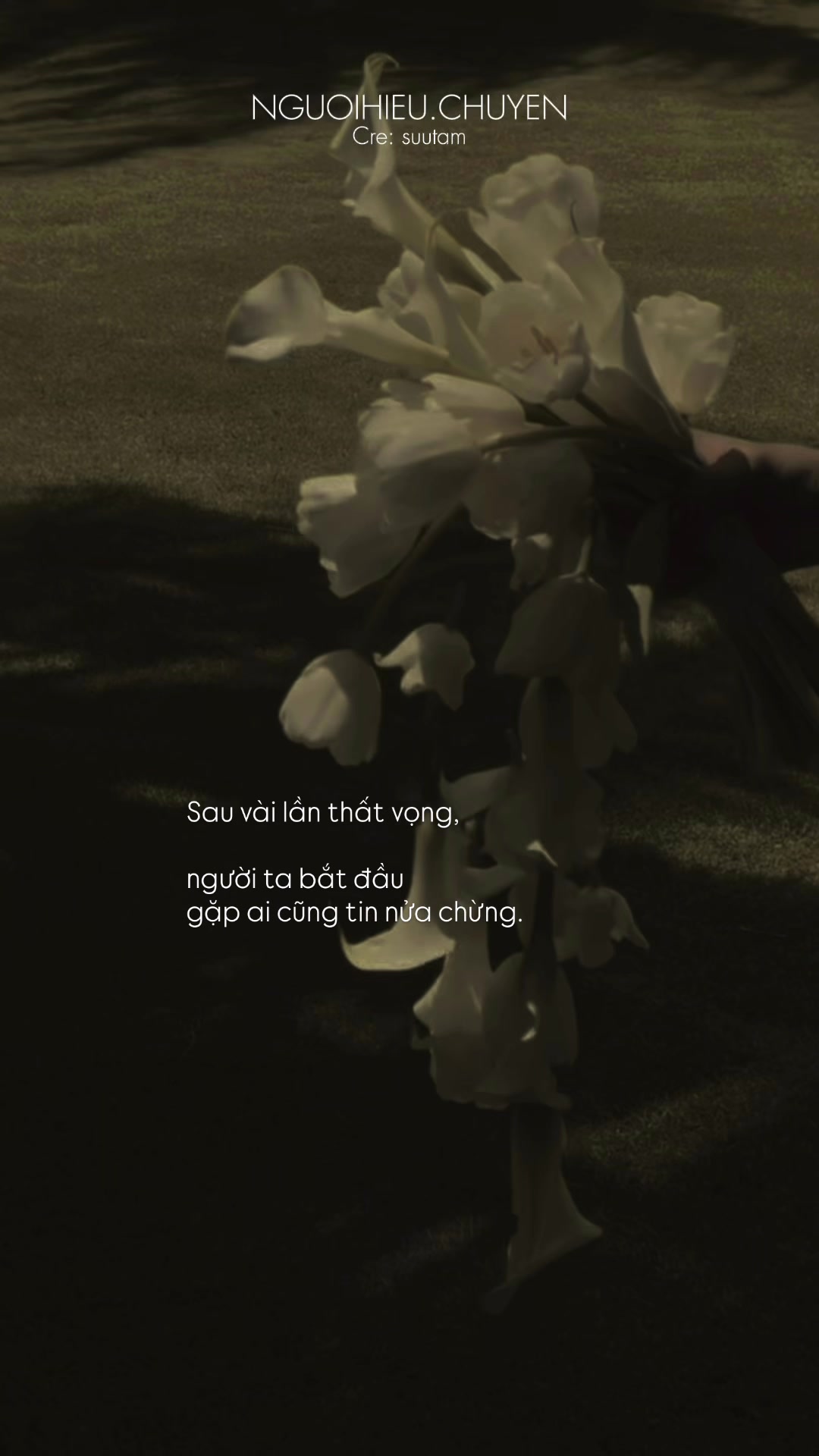 @Người Hiểu Chuyện