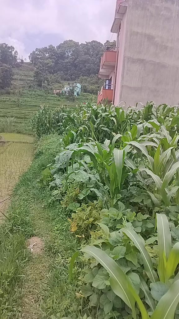 @Susmita Adhikari