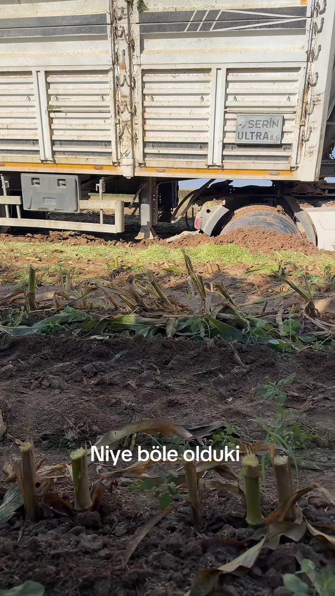 @D.Dağlı