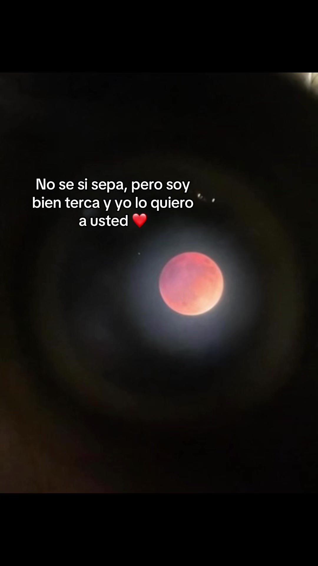 @MAGGIE✨