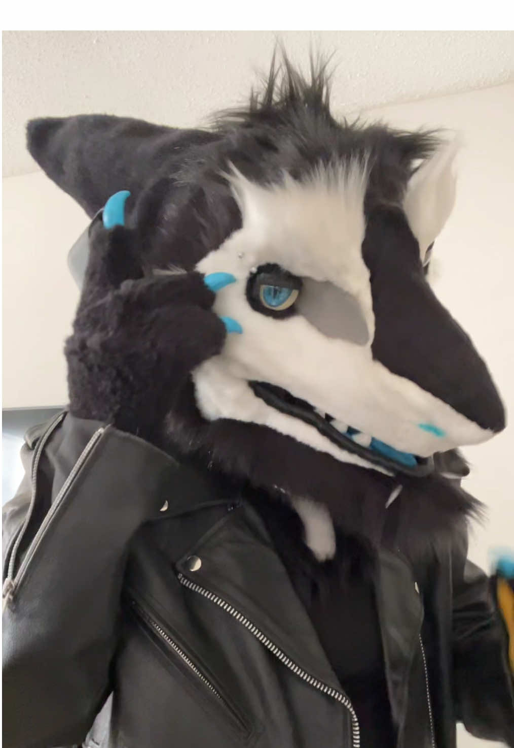 @Hazel Wolf