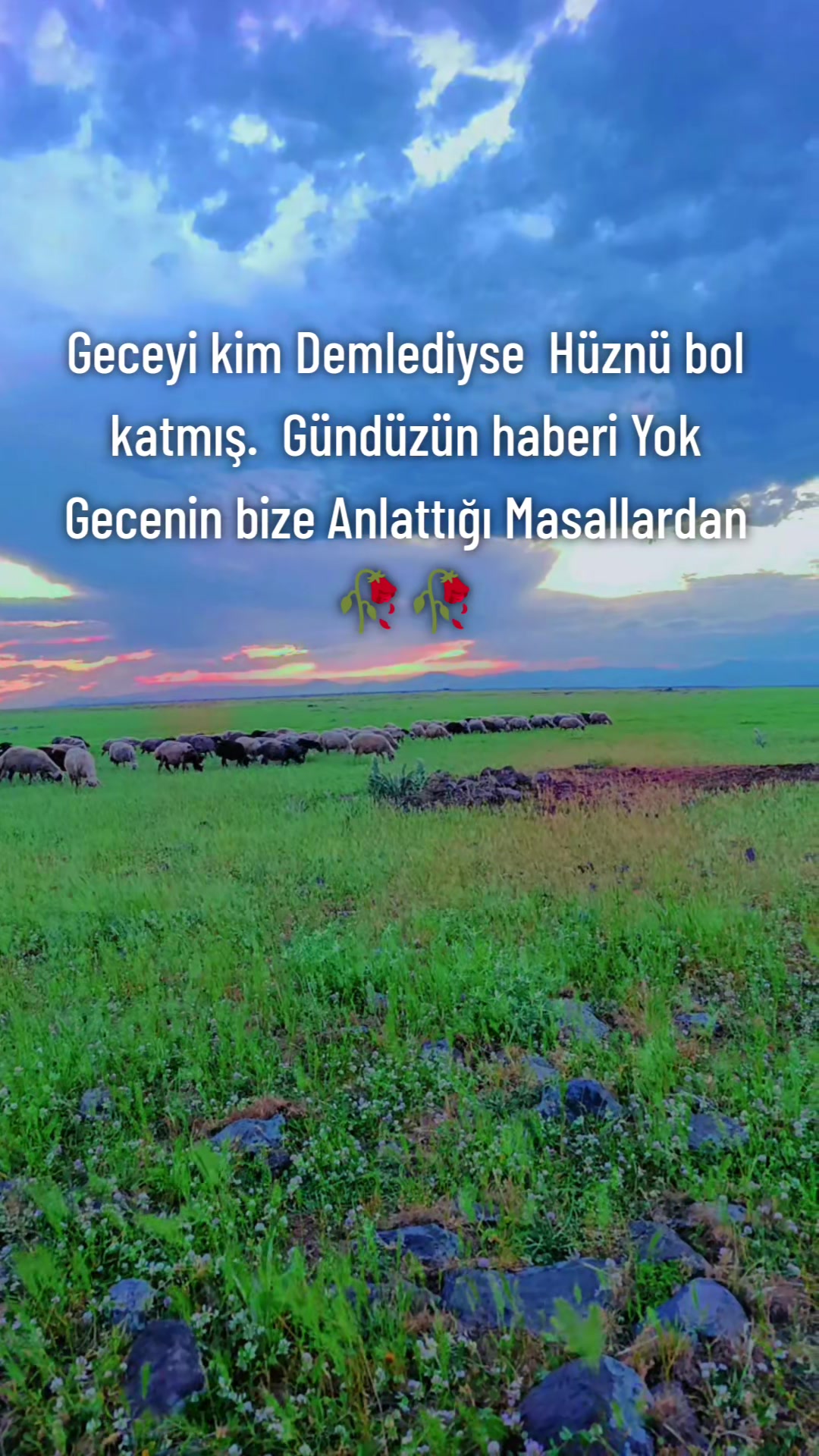 @Süleyman21 🐊🐊