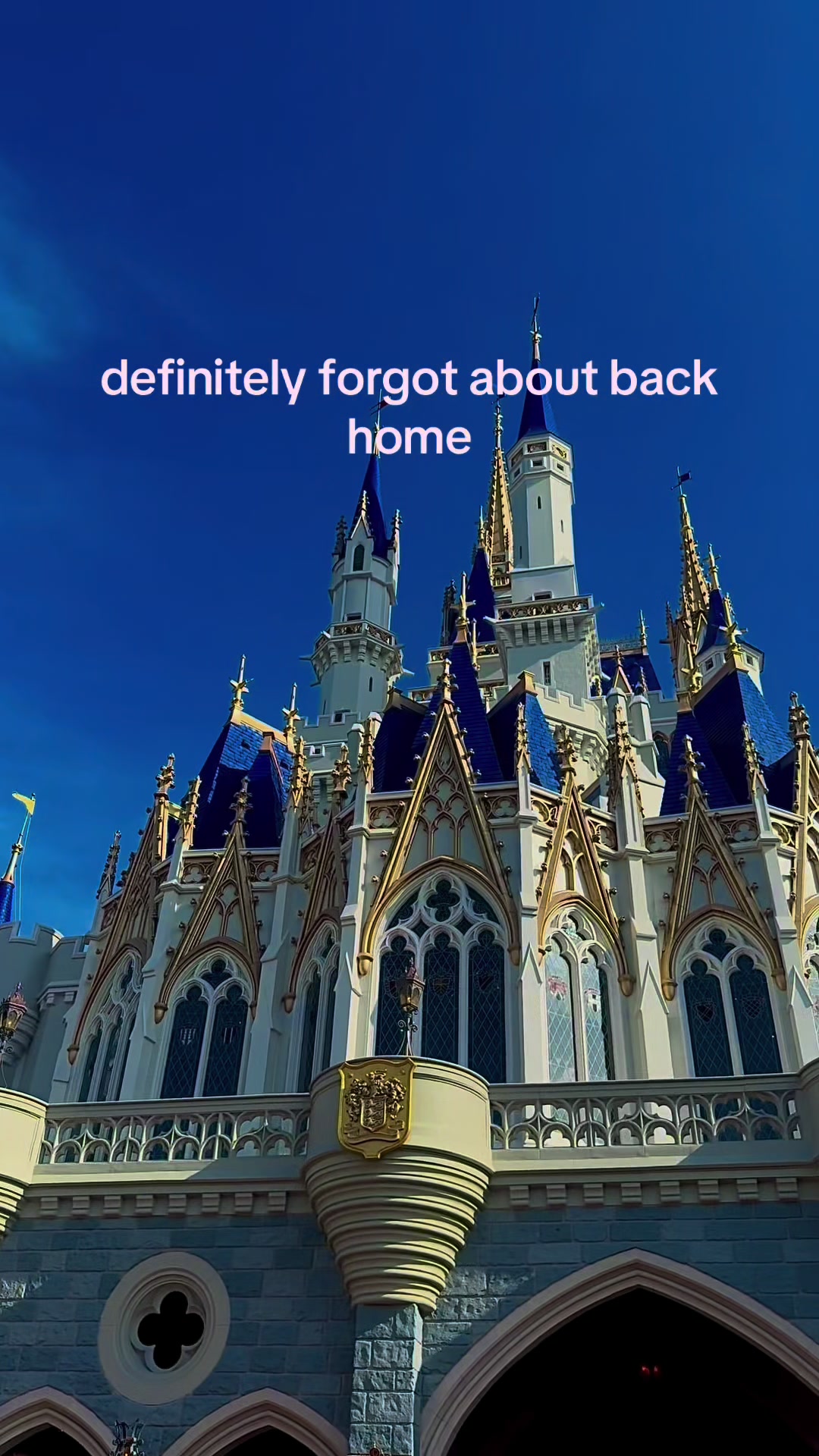 @𝐋𝐈𝐋𝐘 🪽