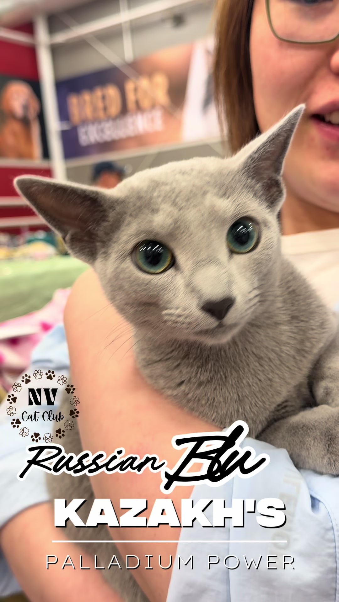 @NewVisionCatClub