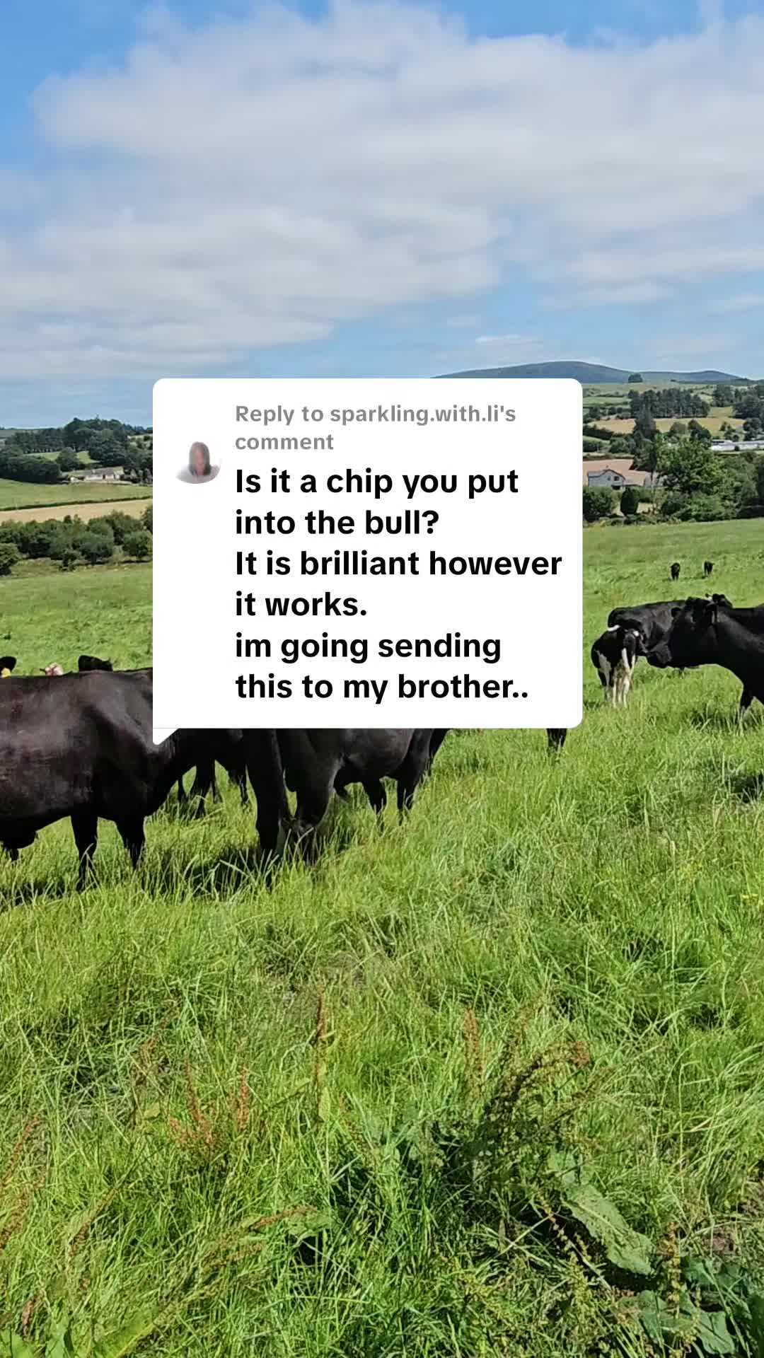 @finnowfarm