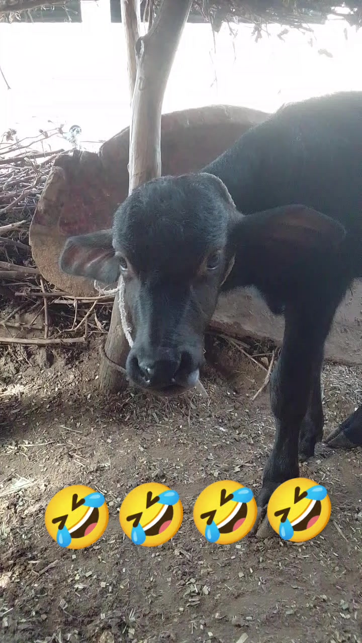@akash125