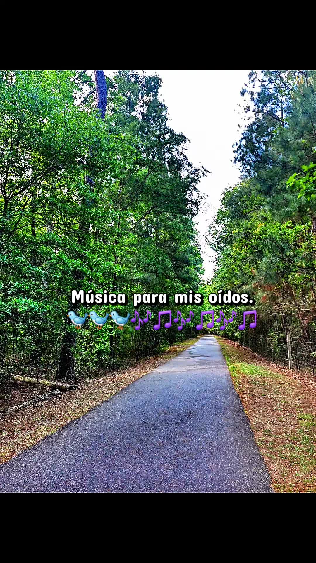 @🇭🇳🌹Rossy🌹🦋