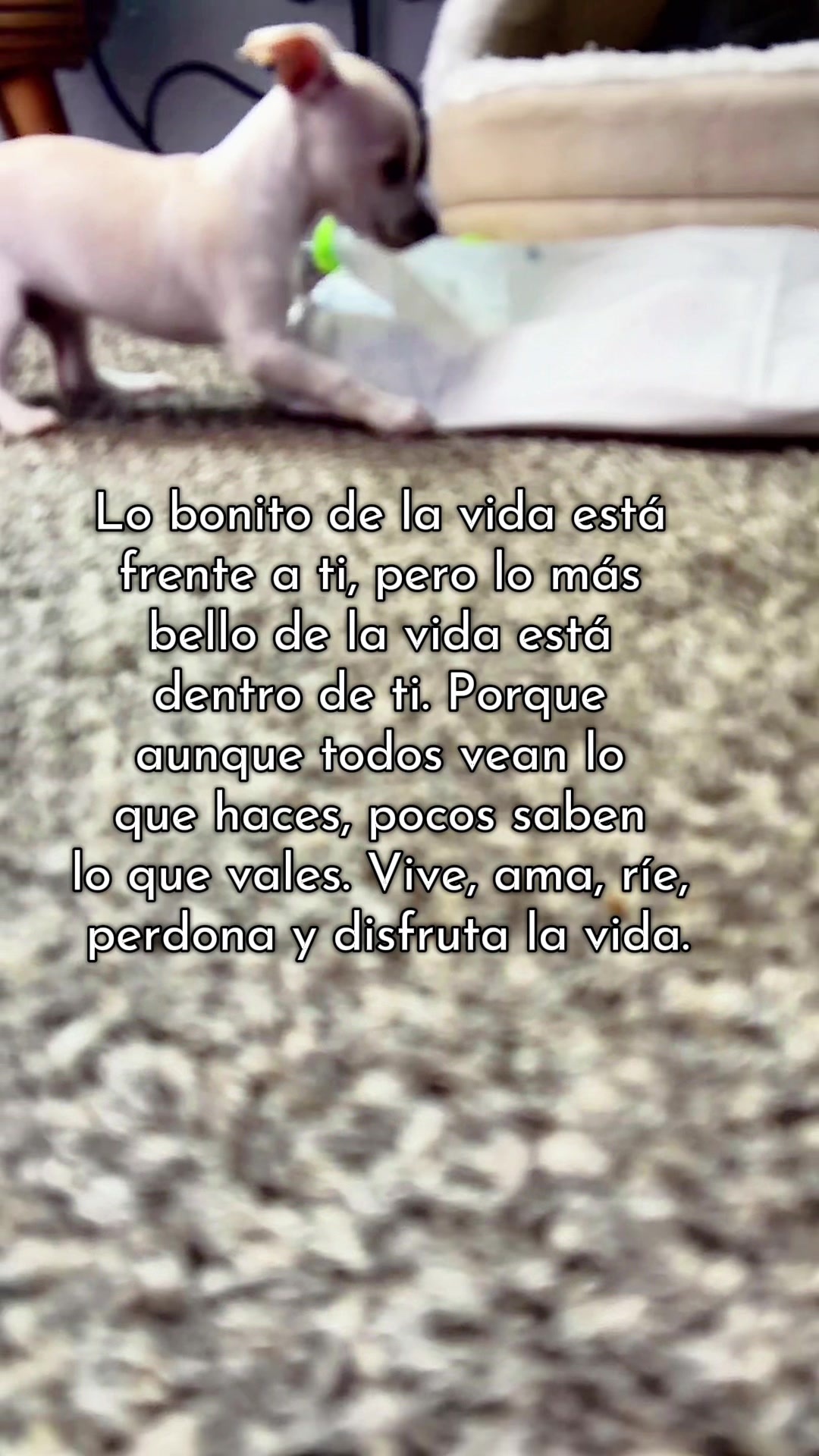 @aprendeconmary2