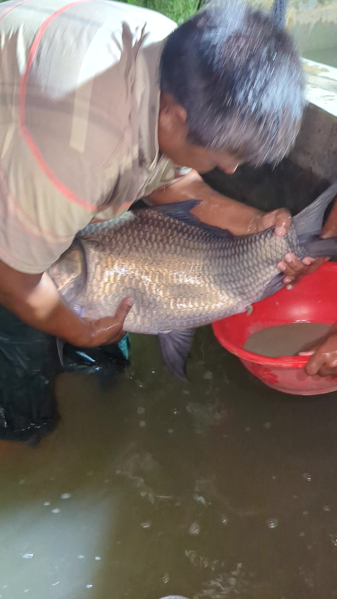 @Fish Lovers Bangladesh
