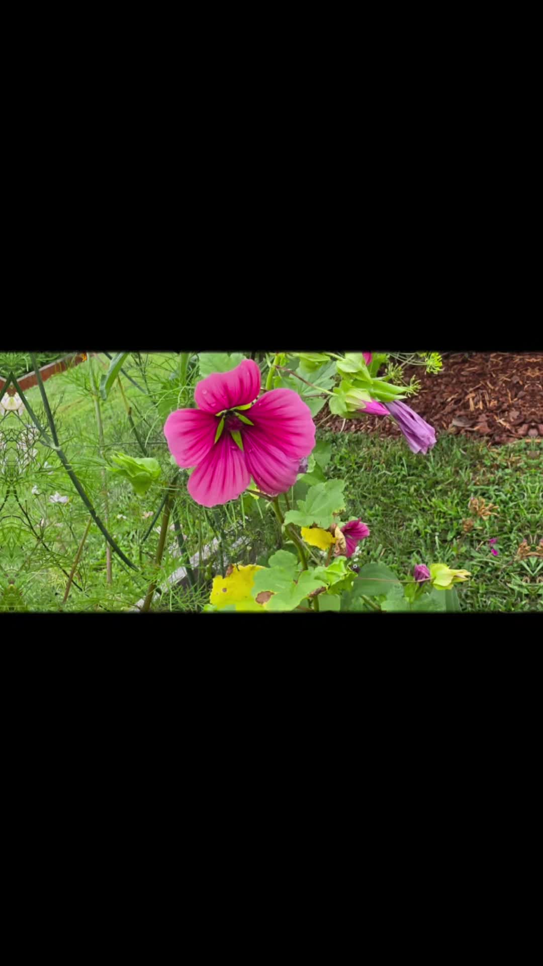 @SilverSoldier3039