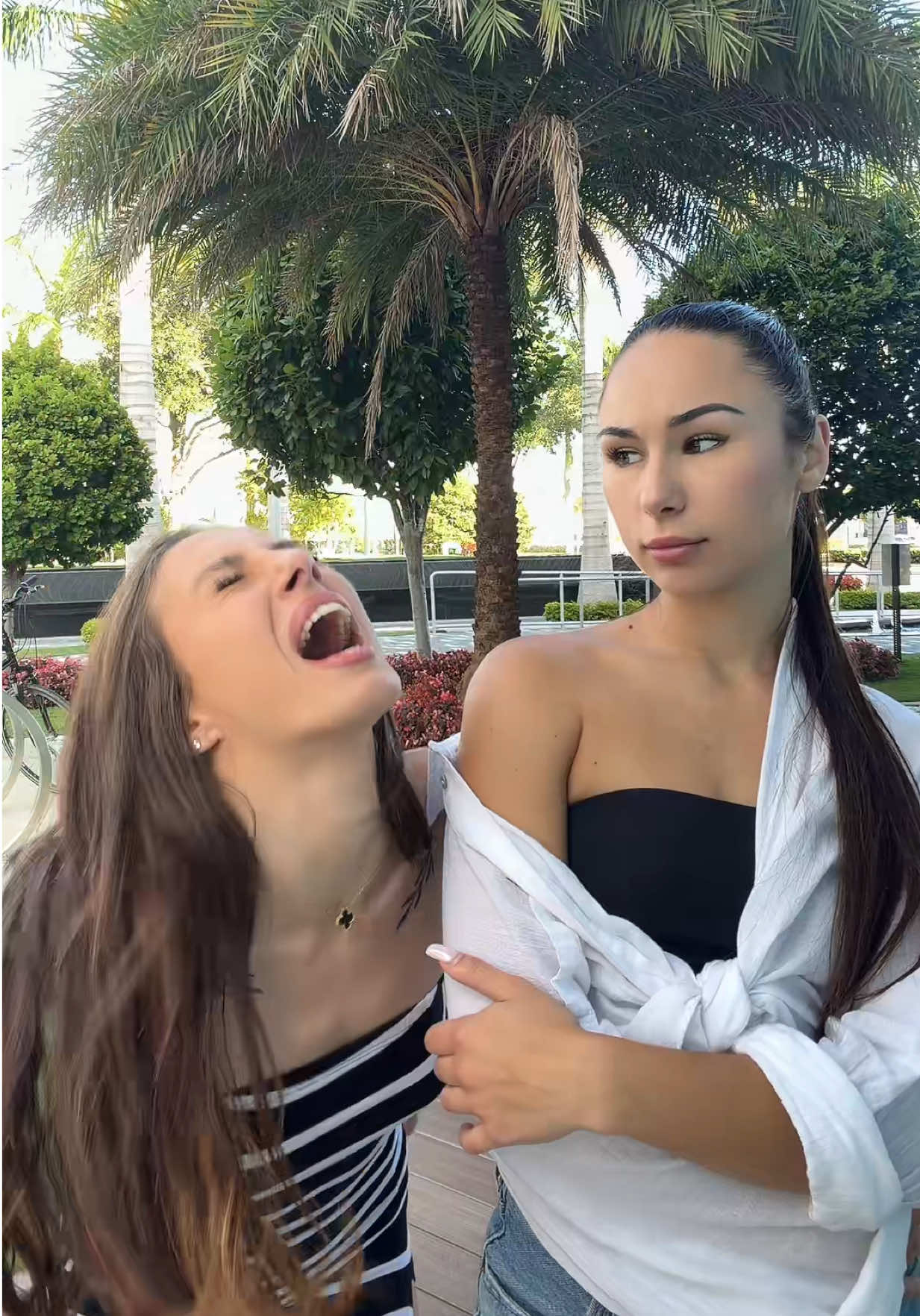 @ELVEE
