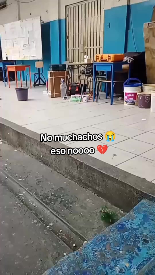 @✨.