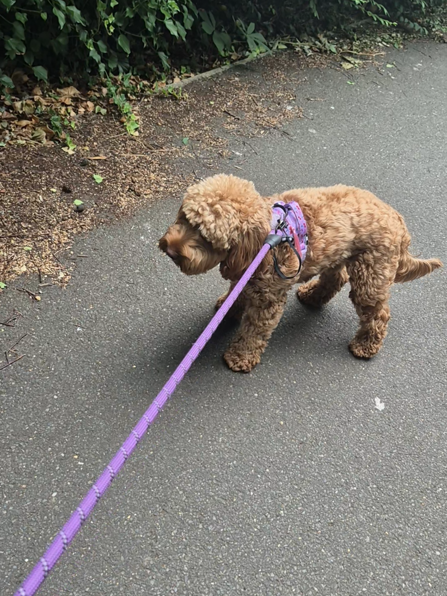 @Winnie & Wilf's Adventures