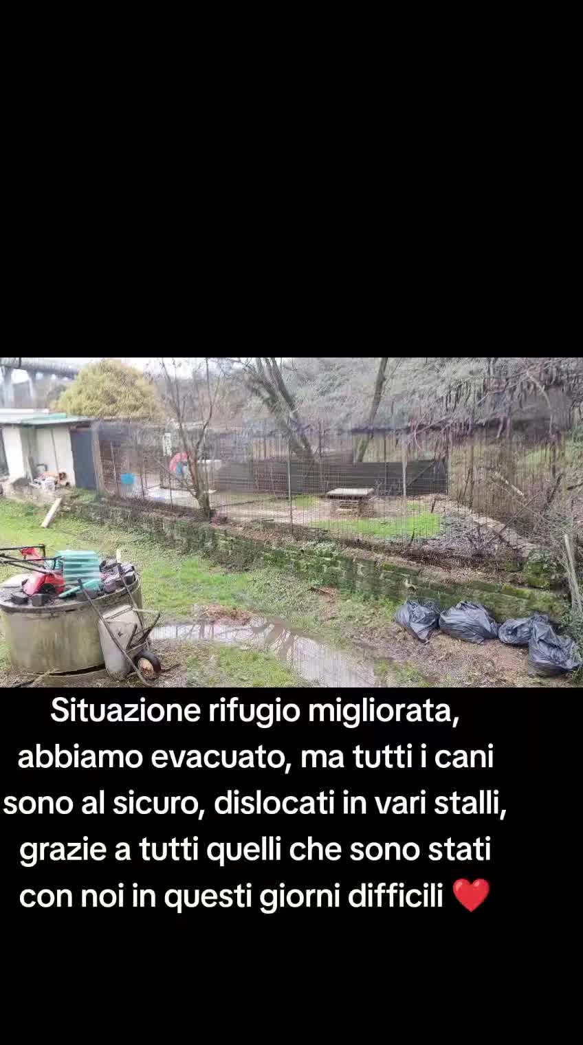 @code felici