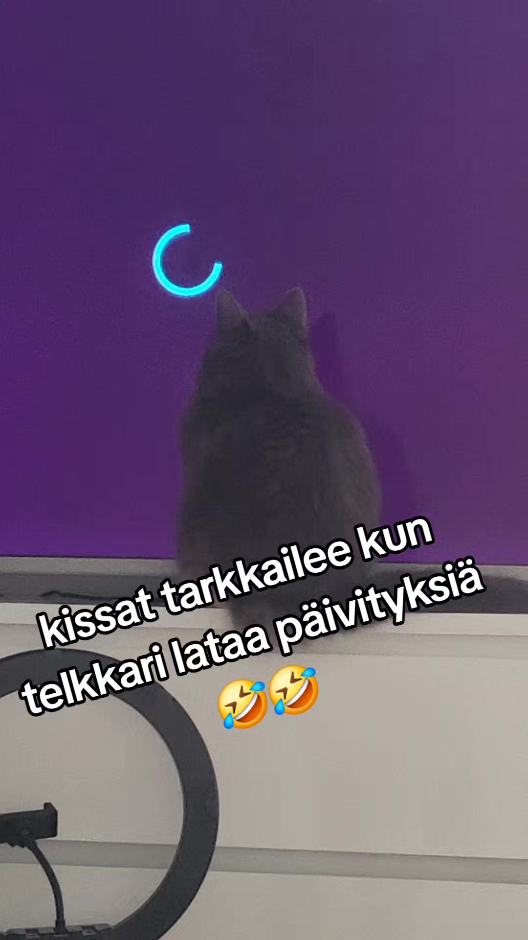 @💖💖maijumamma 2💖💖