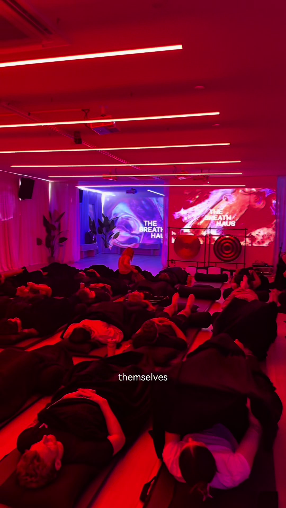 @The Breath Haus | Breathwork