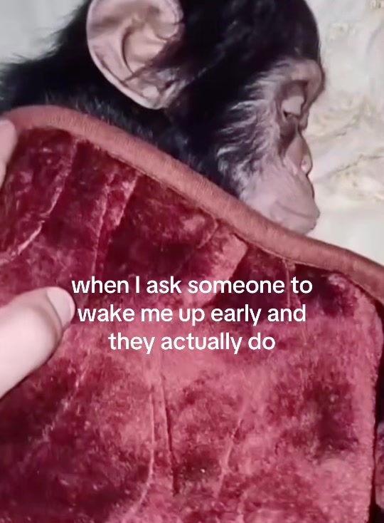 @A