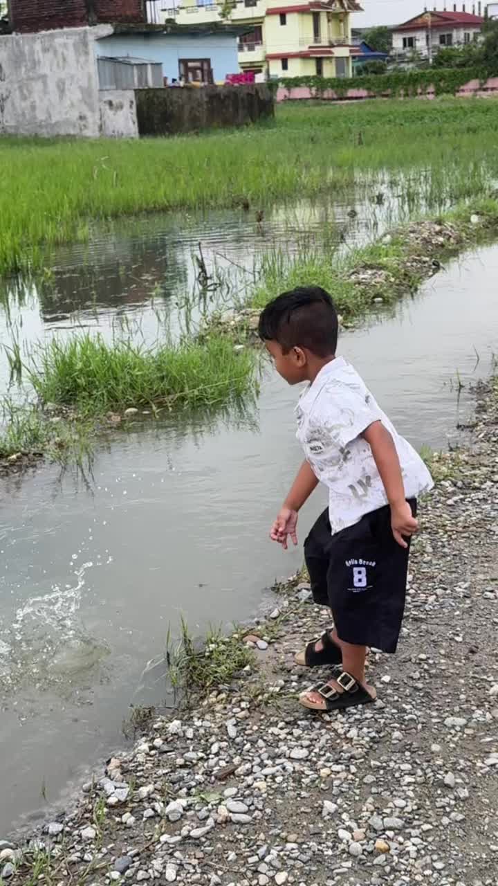 @sijanshrestha469
