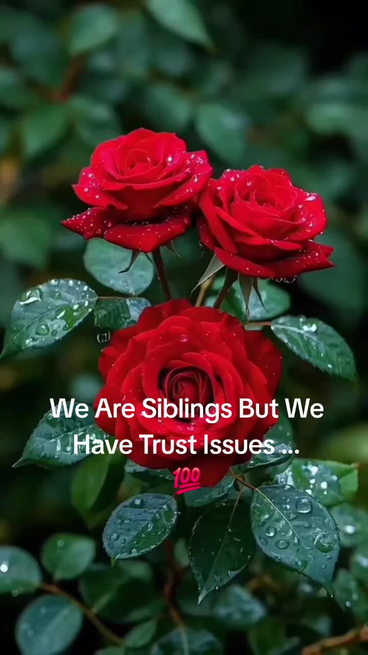 @blessed986778♡♡♡