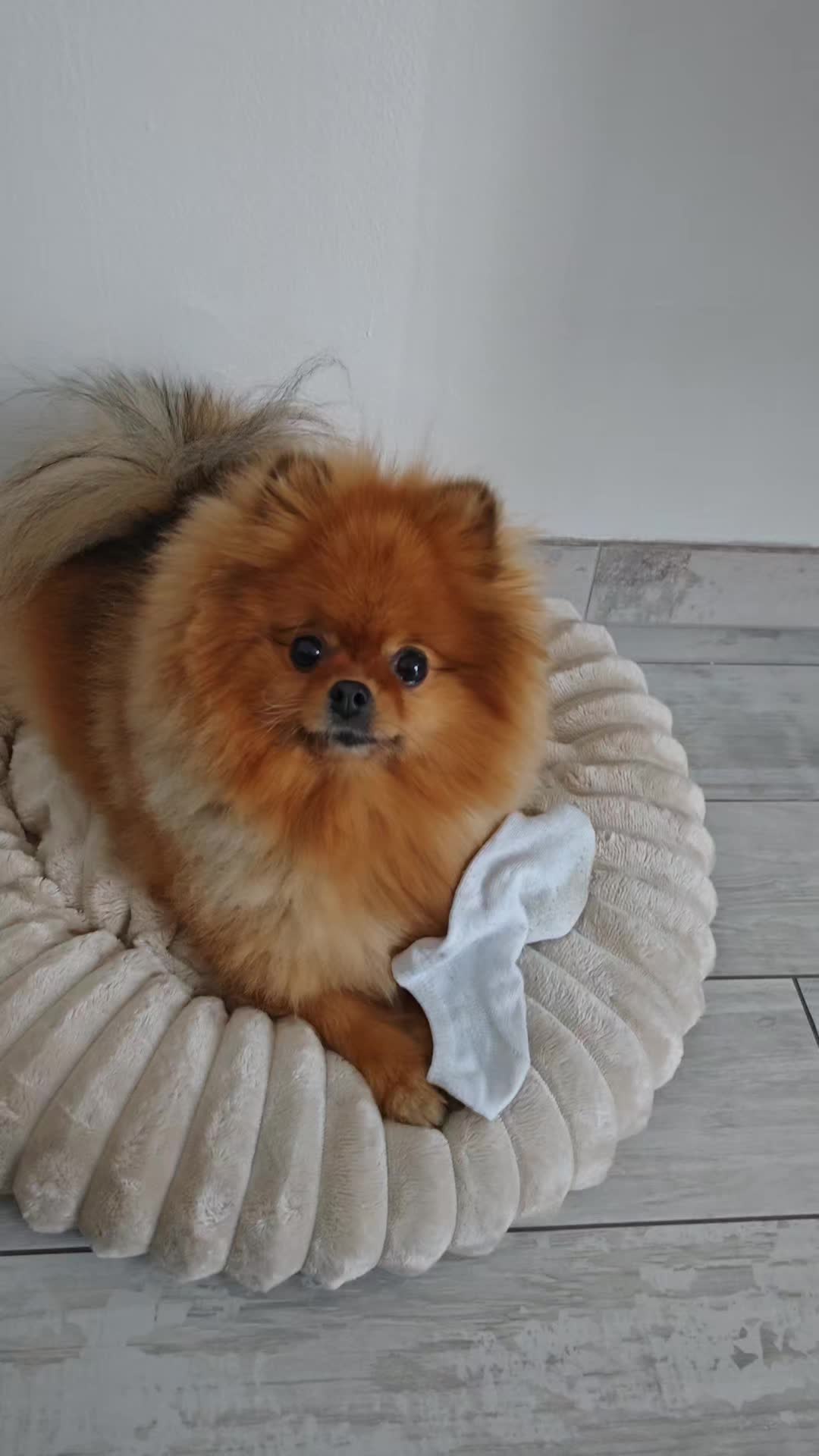 @Nicoletta 🥰