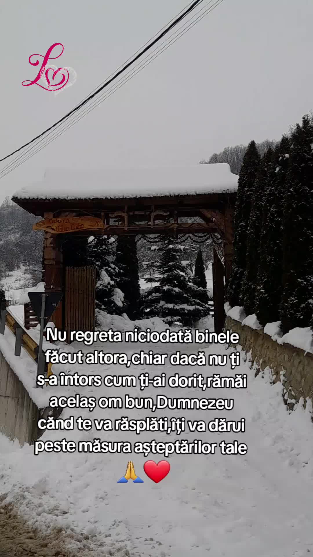 @❤Lupulmeuadorabil❤