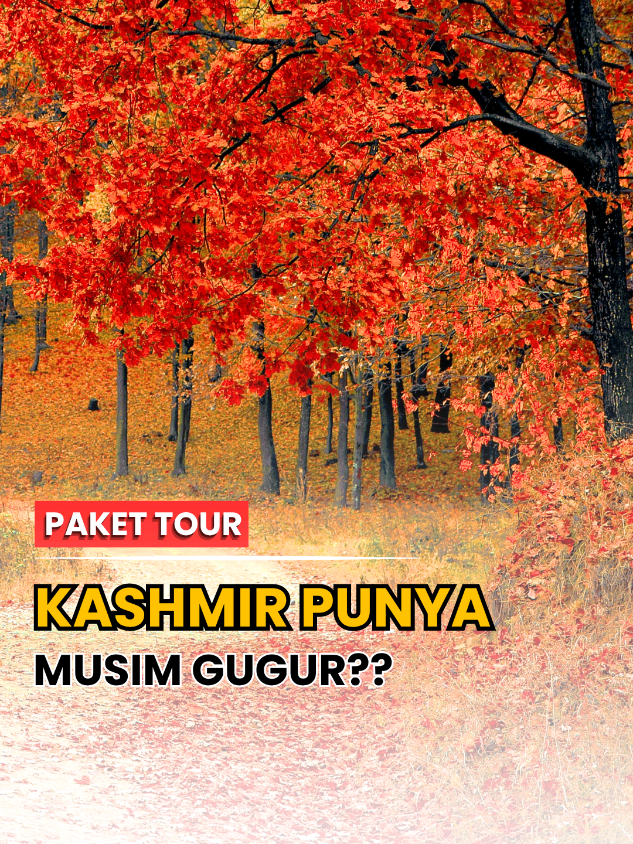 @TRAVEL TRIP KASHMIR INDIA