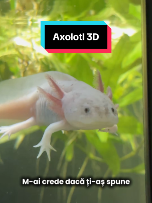 @Eco3D