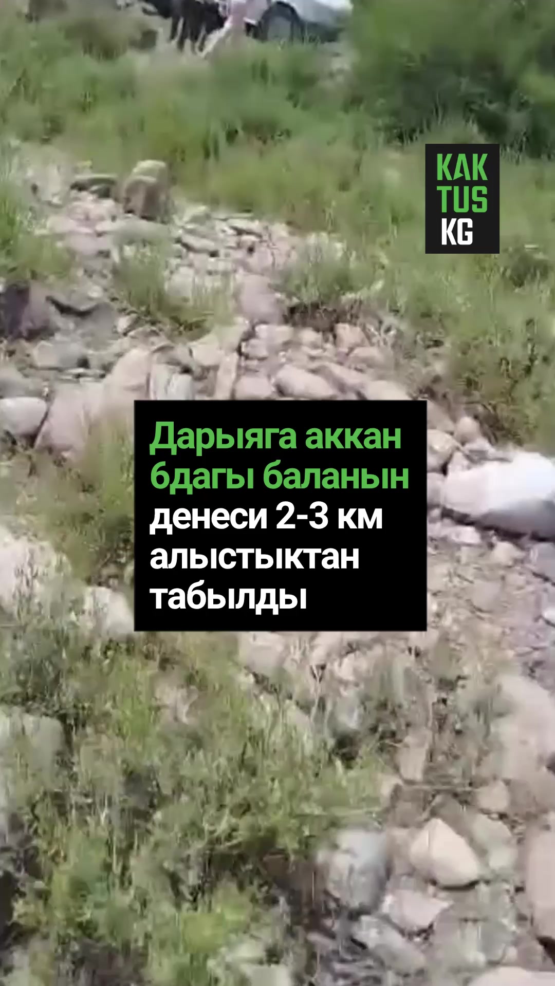 @Kaktus KG