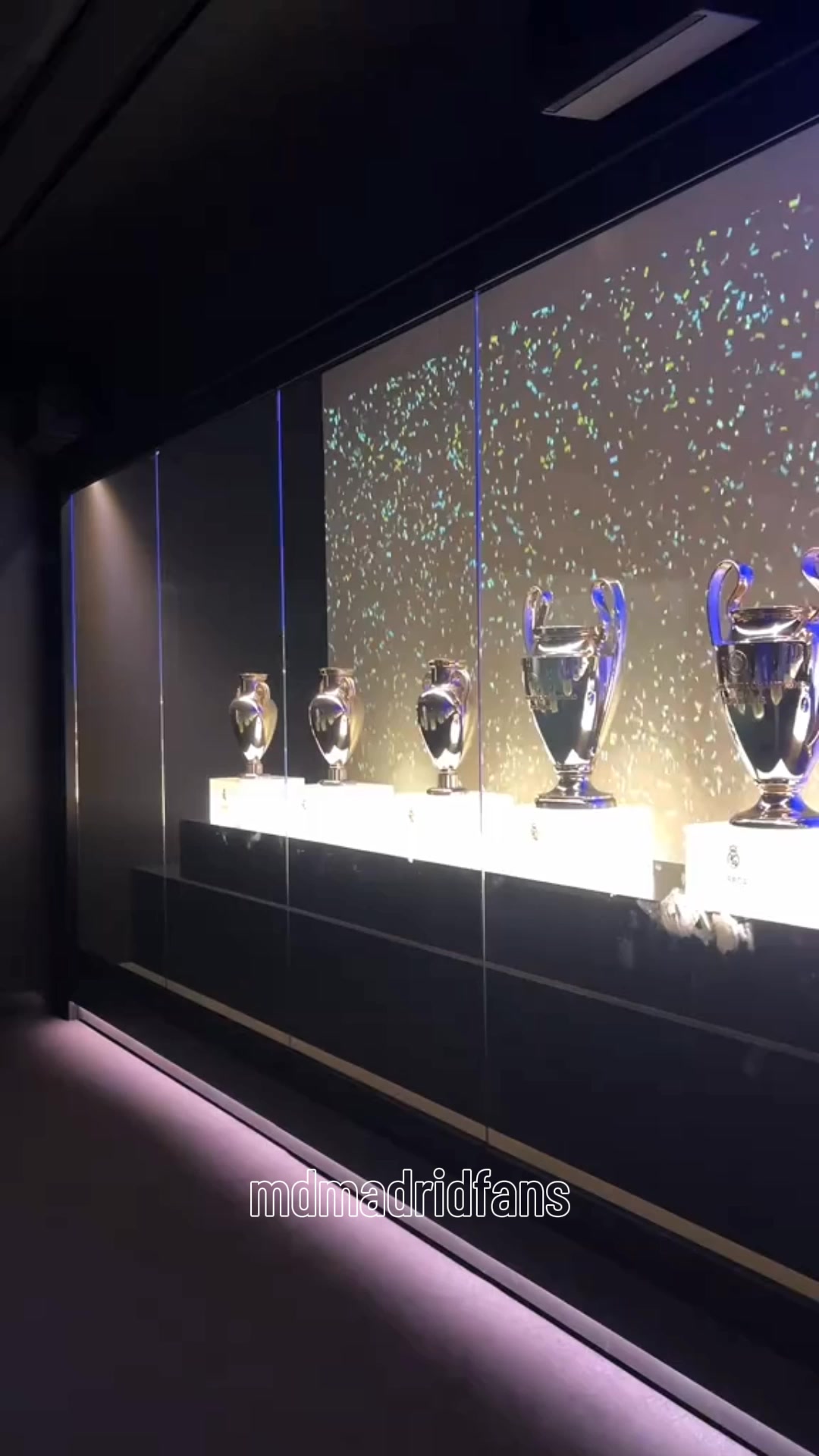 @MADRID FANS⚽