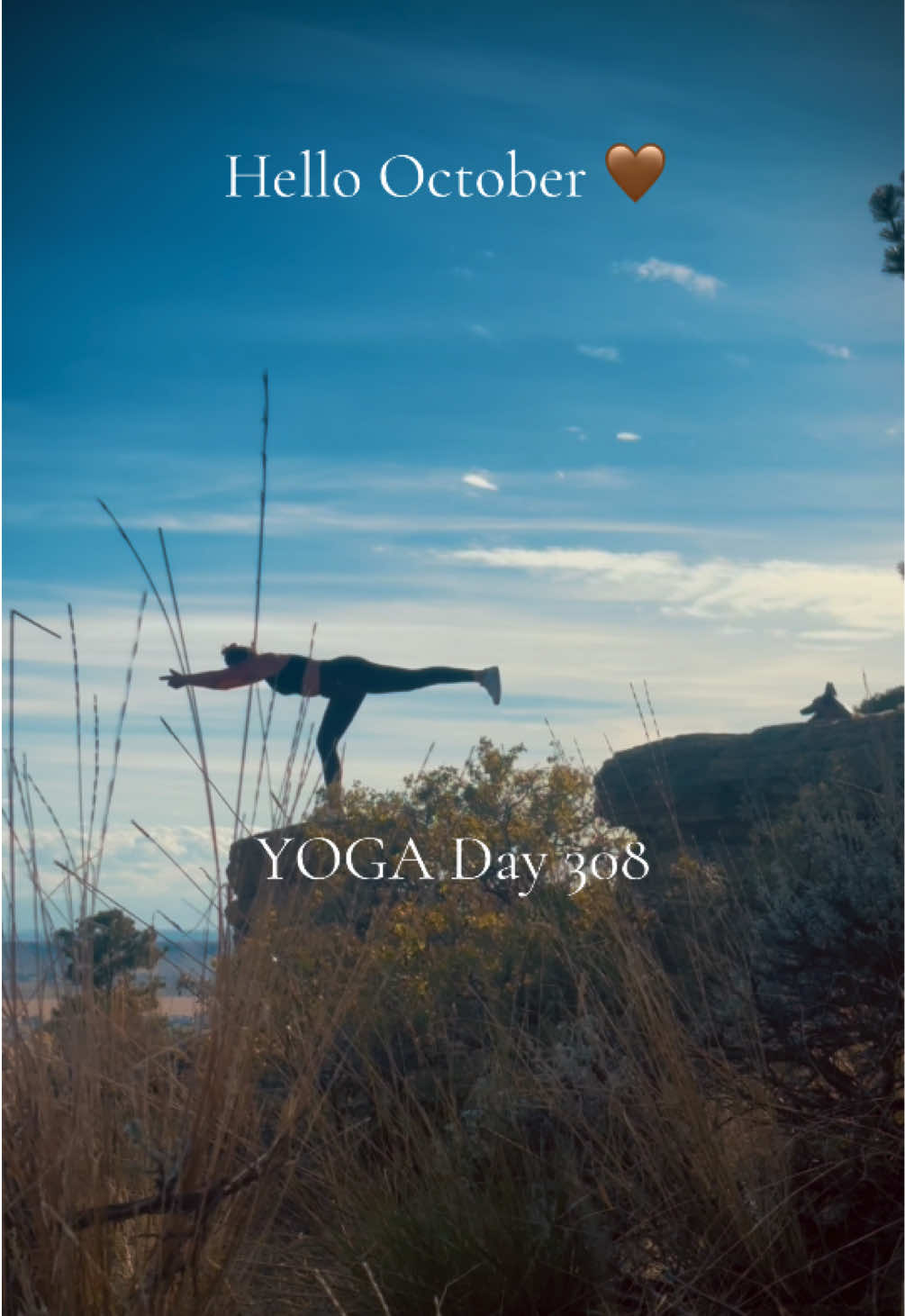 @Rare Orchid MT&YOGA