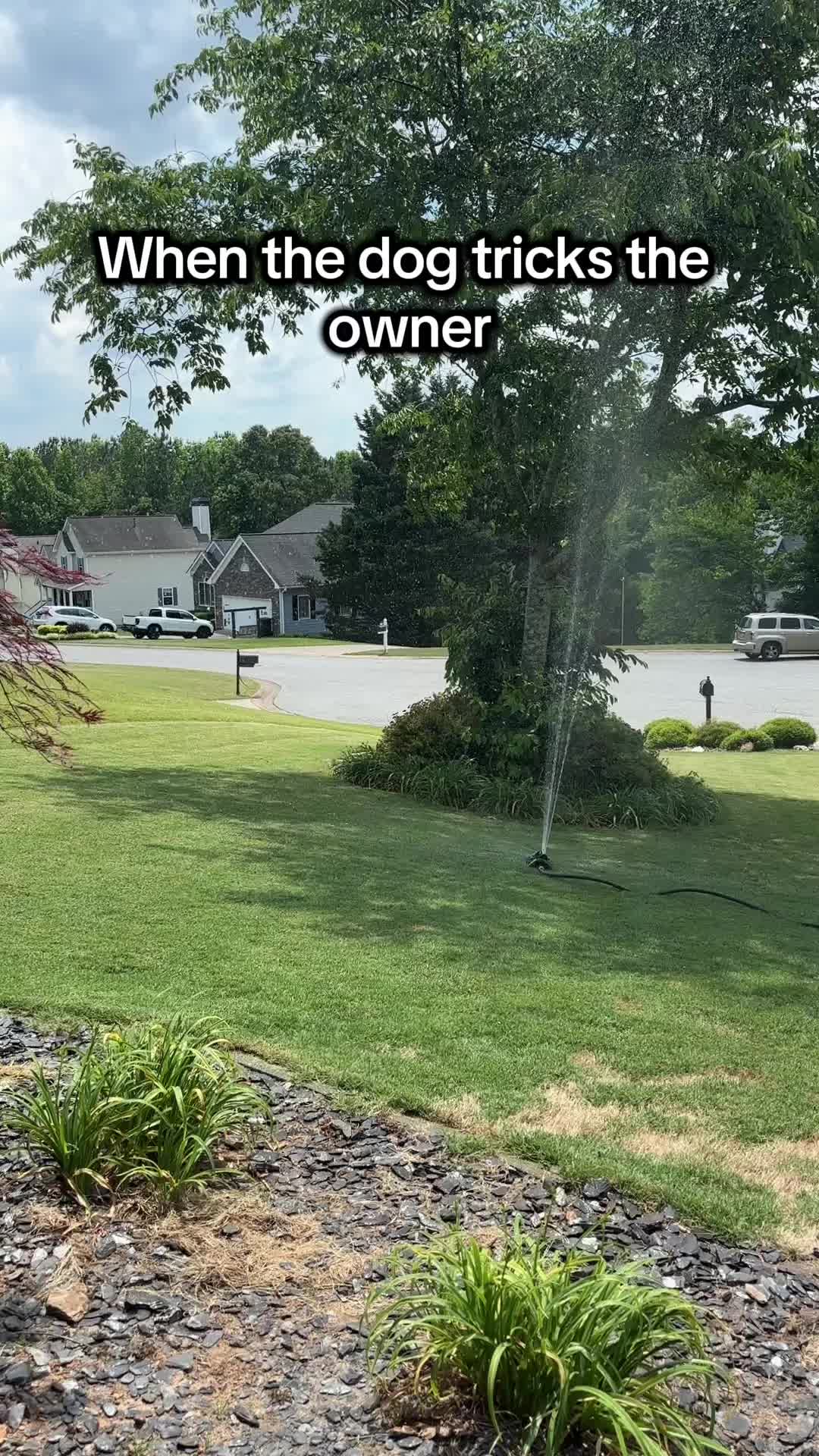 @AverageJeff