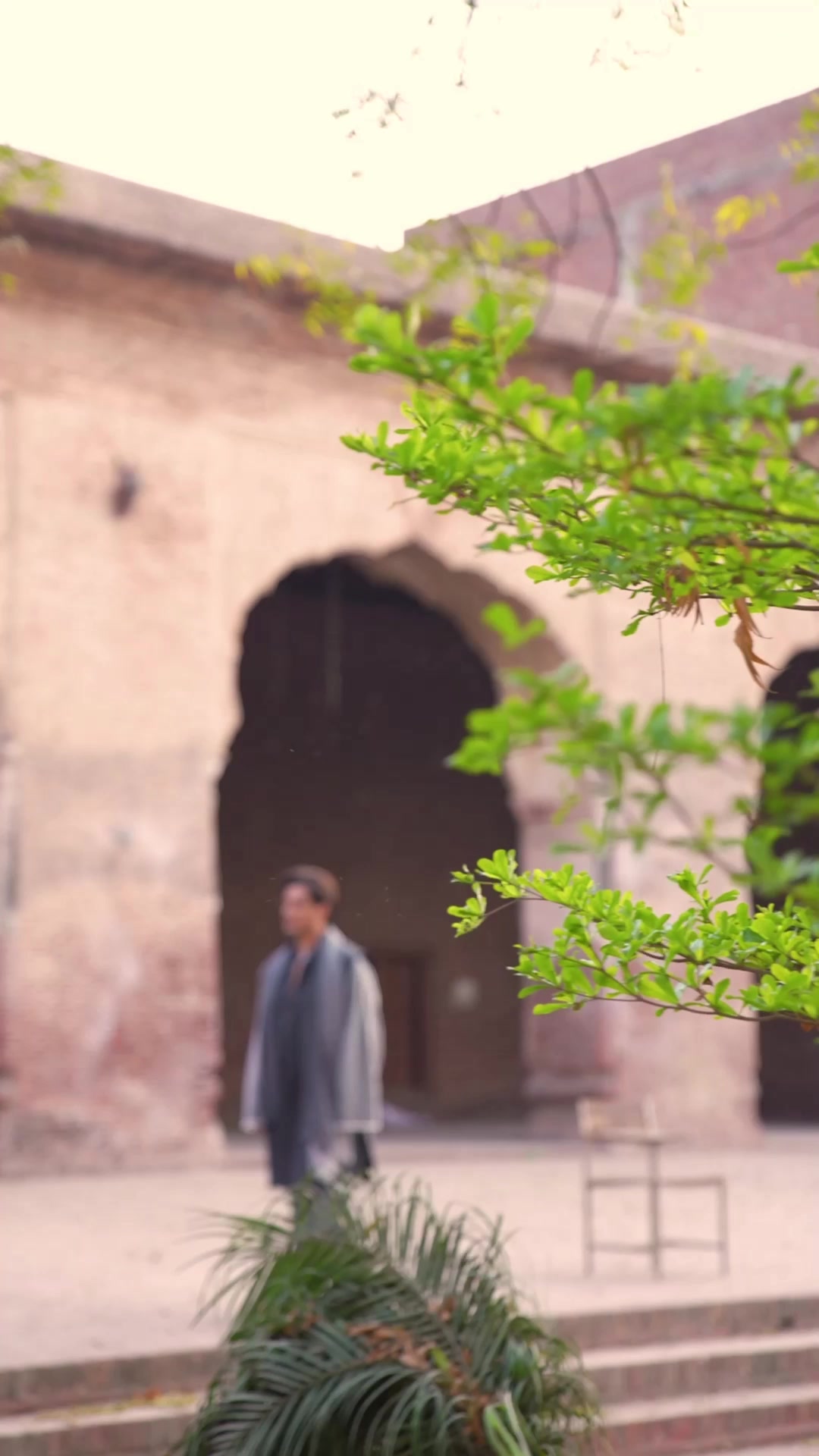 @Ali Zafar
