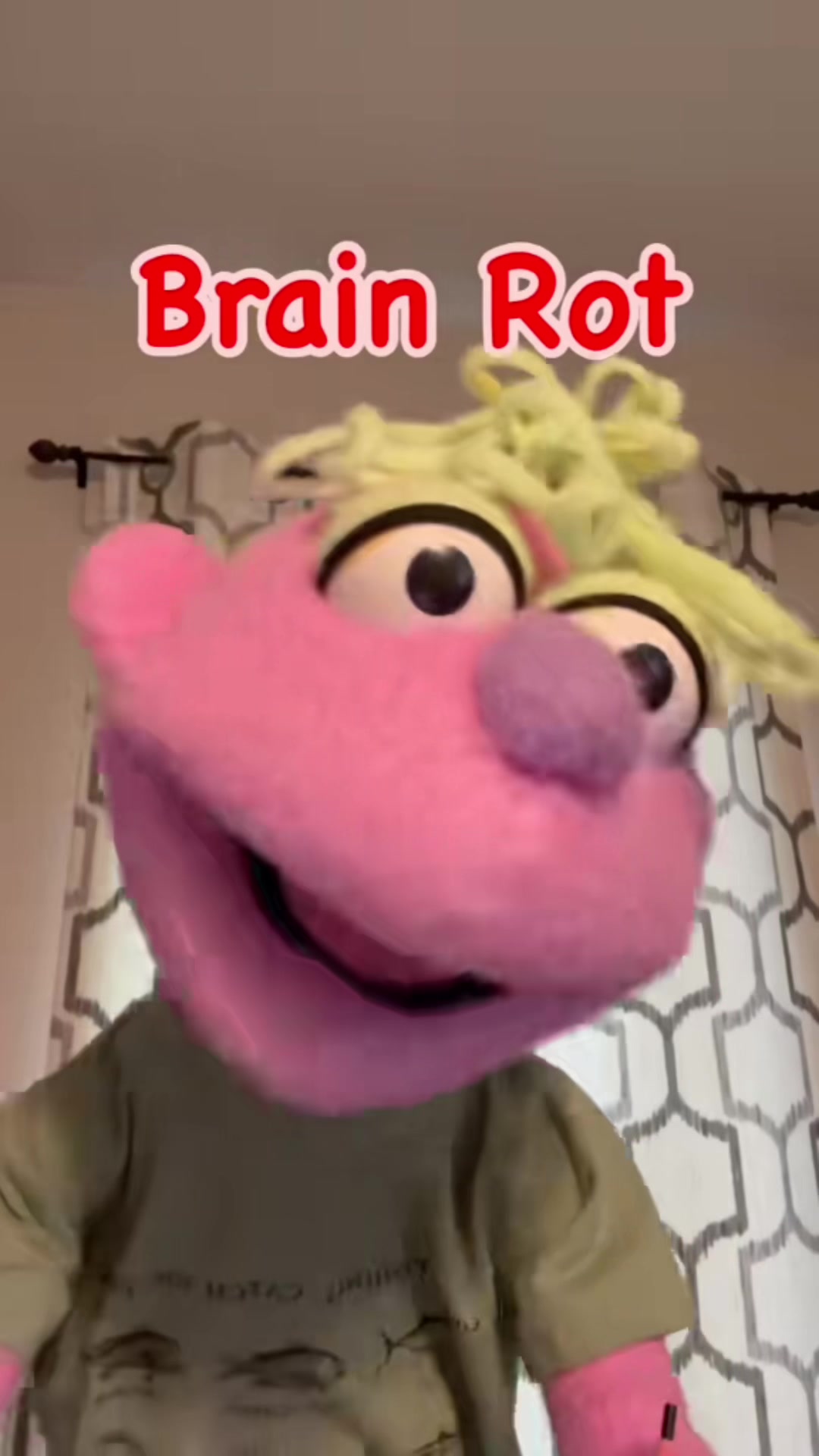 @𝘋𝘪𝘯𝘹 𝘵𝘩𝘦 𝘗𝘶𝘱𝘱𝘦𝘵