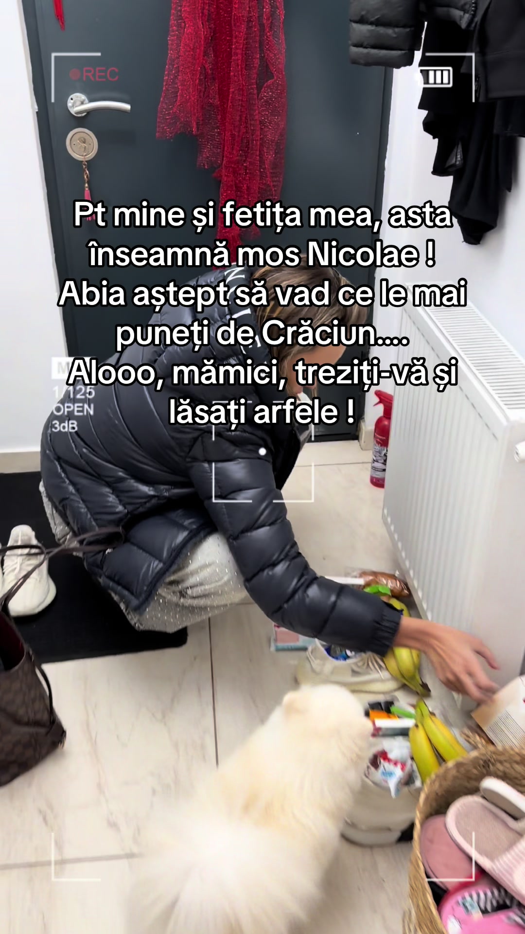 @IRBEKY👑
