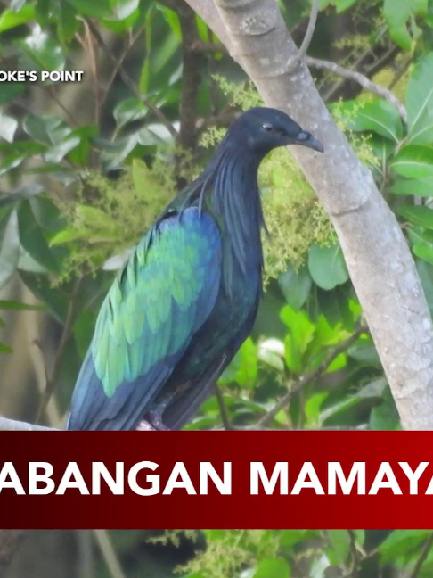 @24 Oras