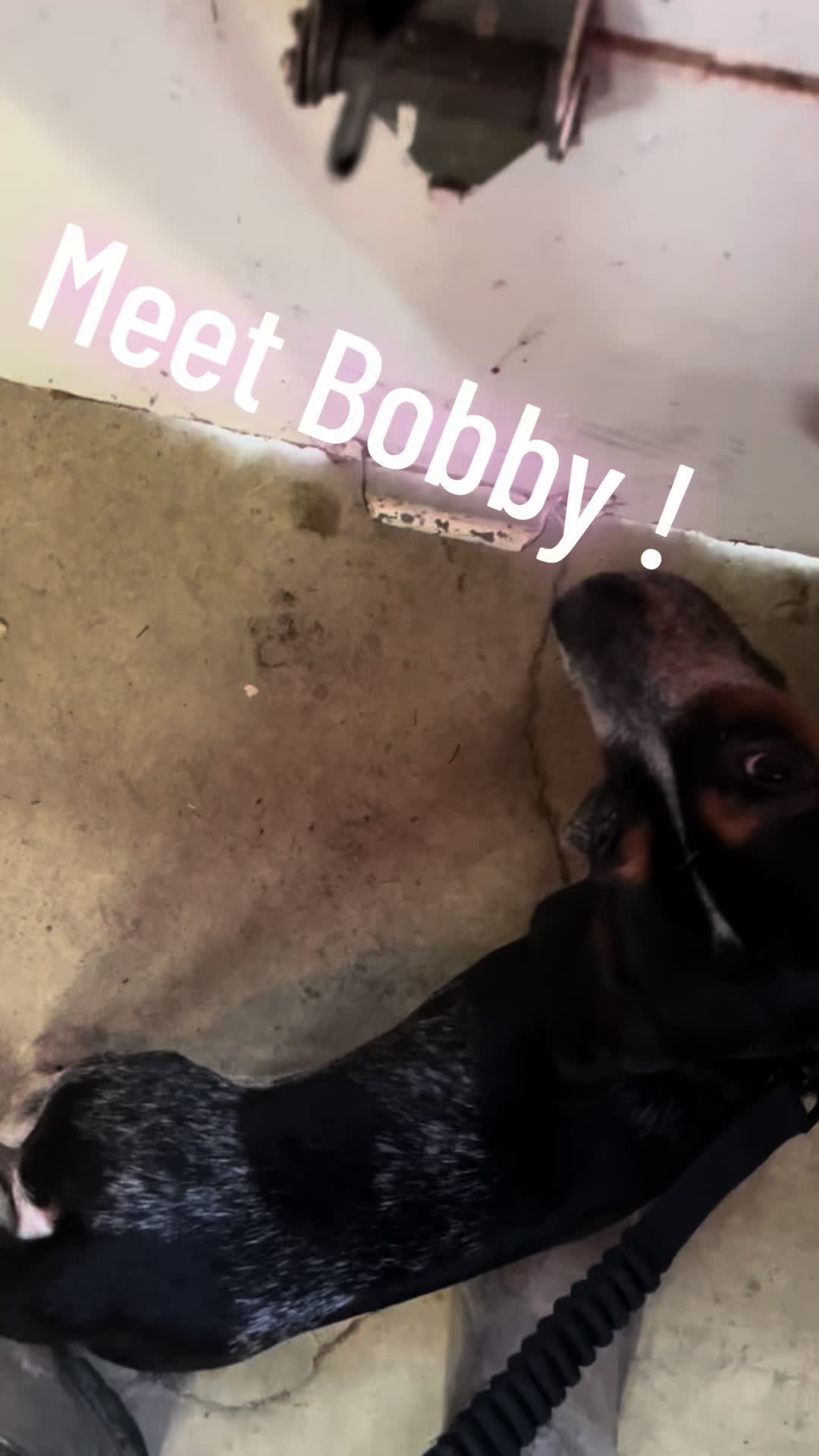 @FishTalesStories