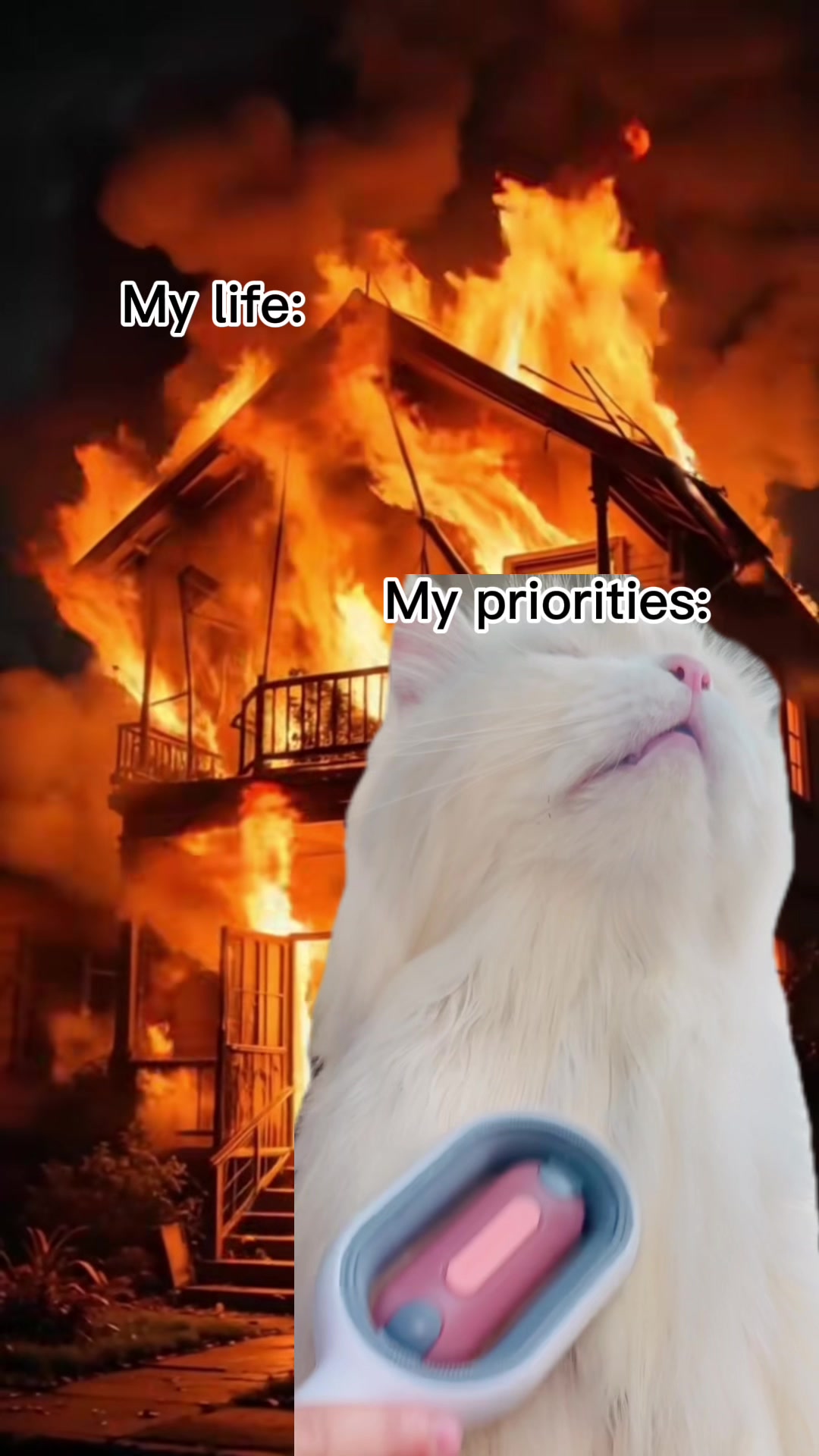 @_purrfecttpaws_