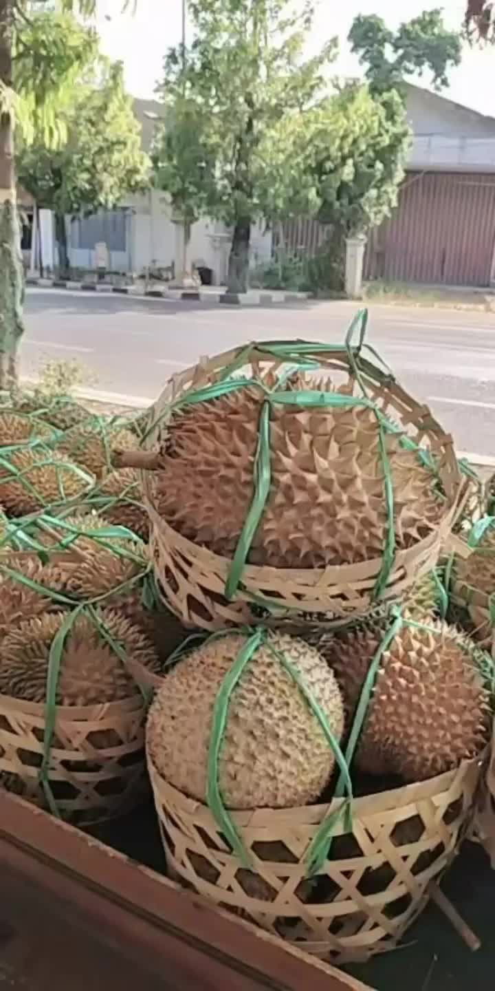 @Kenzhi Durian Tuban