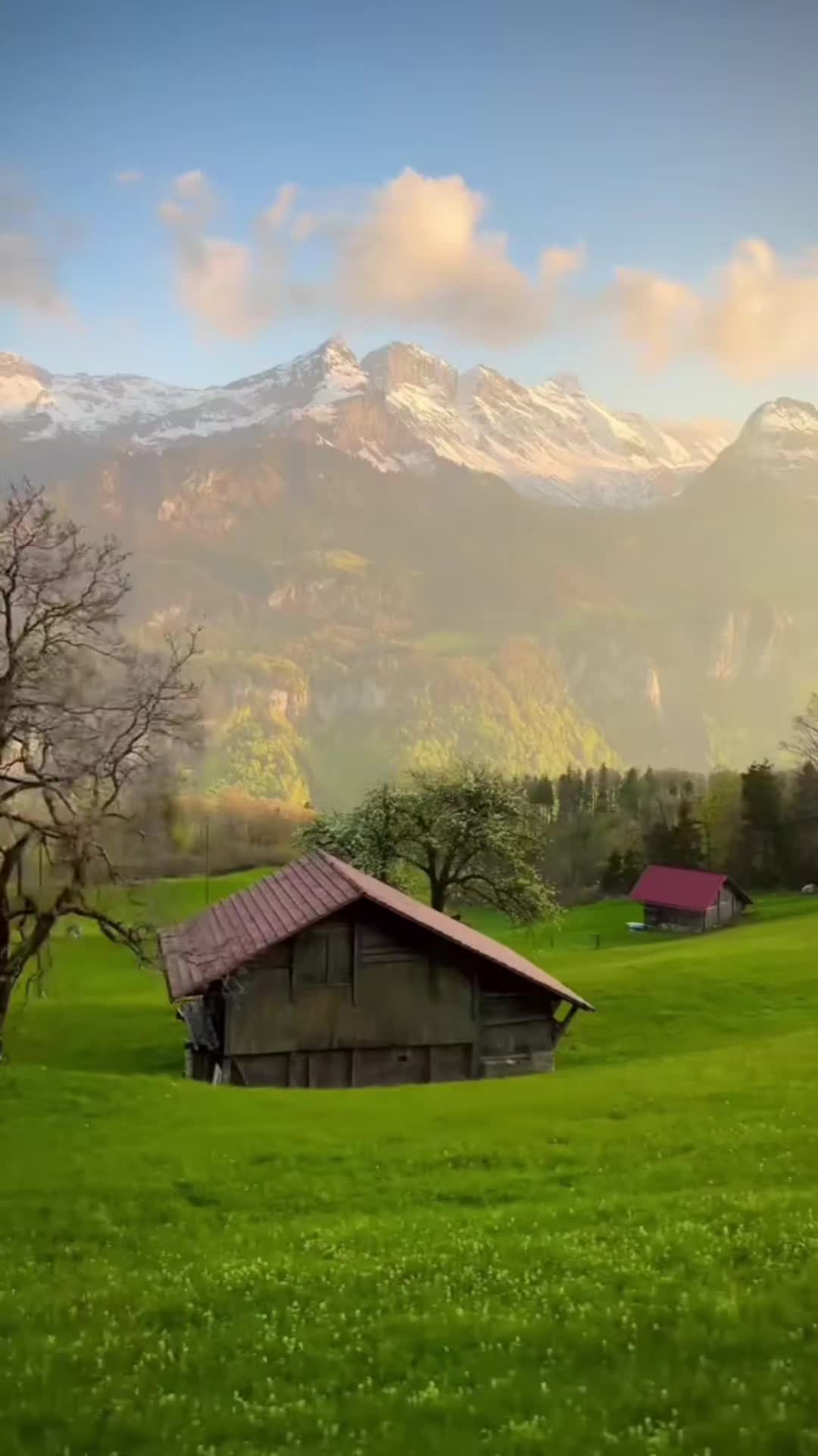 @Alteri