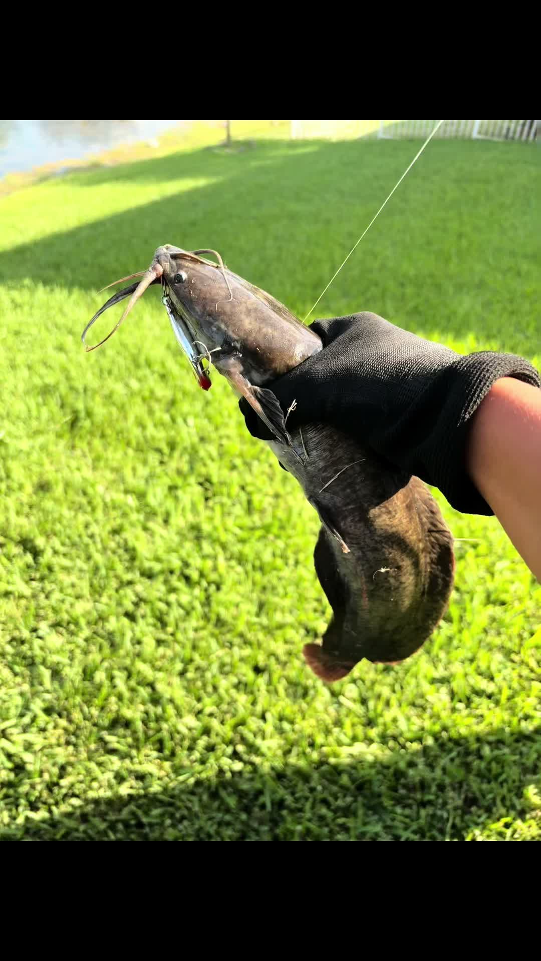 @Teamfishing
