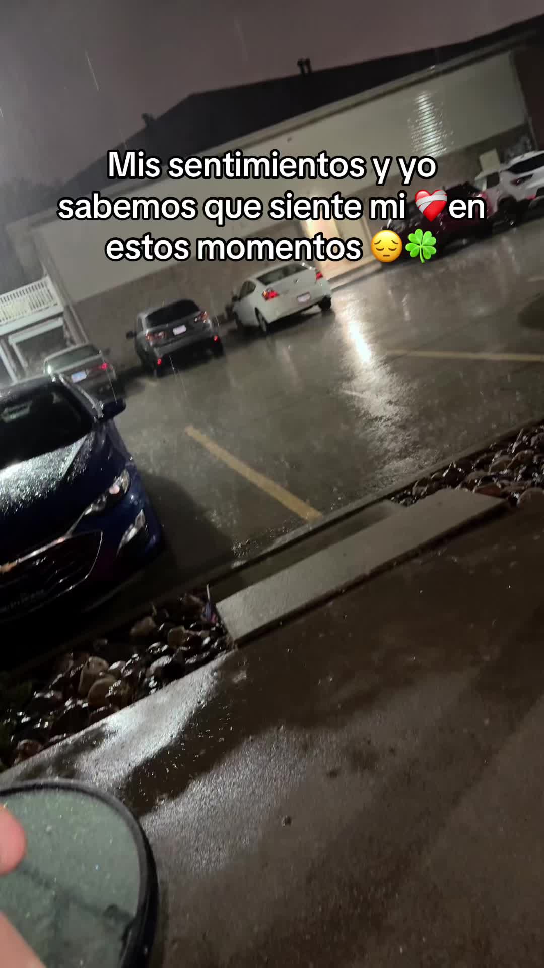 @Alejandra Castro ✨