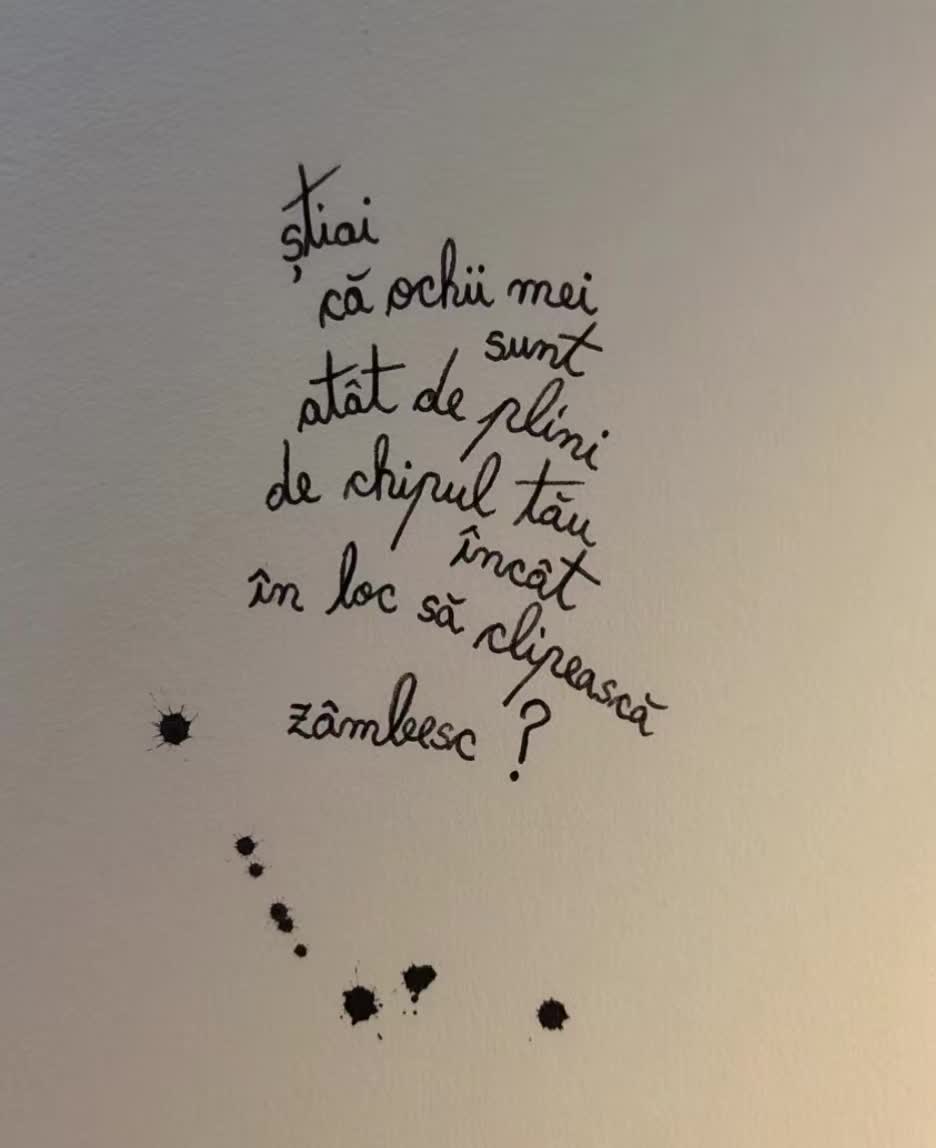 @Mihaela Zechmeister