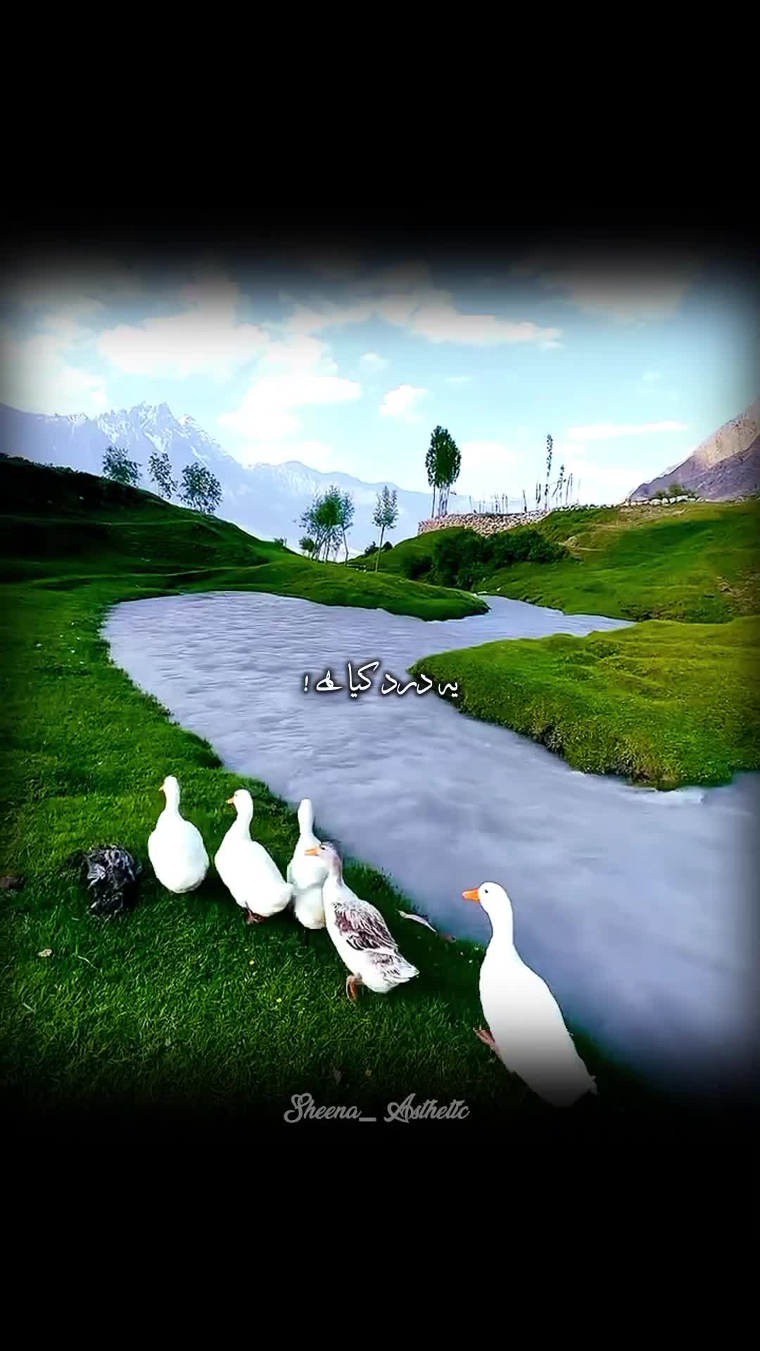 @💞𝓘𝓽𝔁.𝓒𝓪𝓽𝓸💞